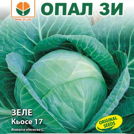 Зеле Кьосе 17