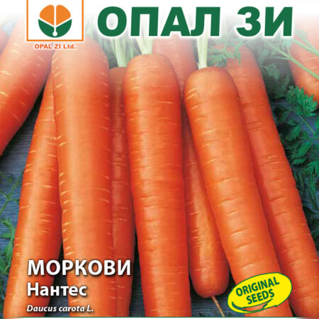 Моркови Нантес