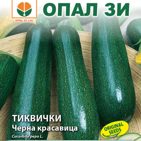 Тиквичка Черна красавица
