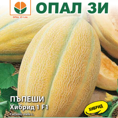 Пъпеш Хибрид 1 F1