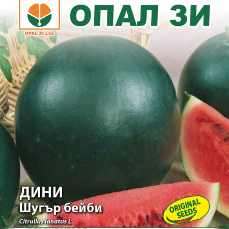 Диня Шугър Бейби