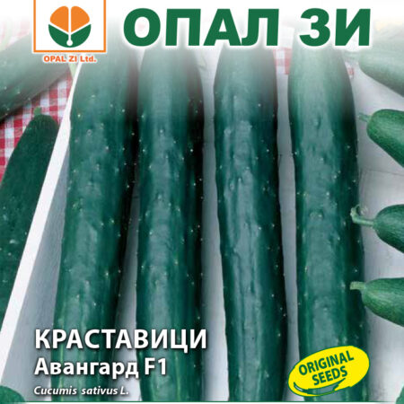 Краставици Авангард F1