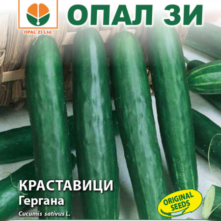 Краставици Гергана 10гр.