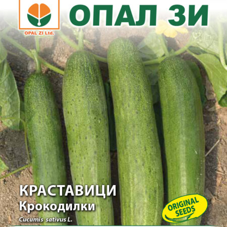 Краставици Крокодилки