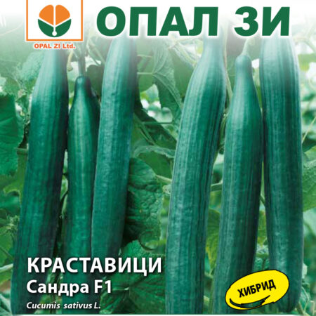 Краставици Сандра F1