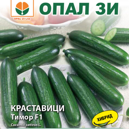 Краставици Тимор F1