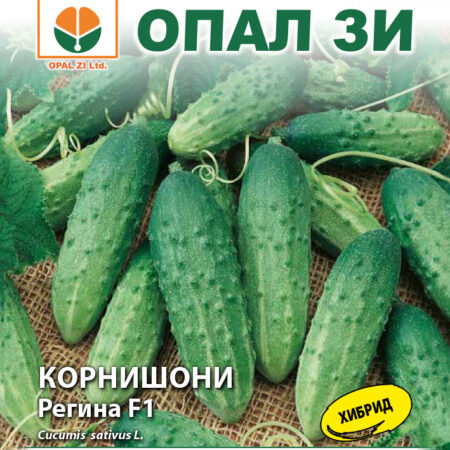 Корнишони Регина F1