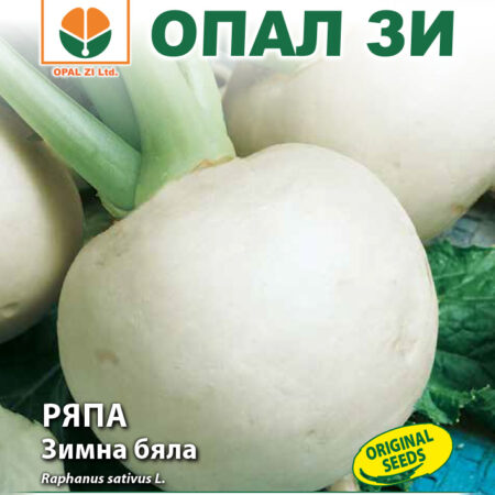 Ряпа