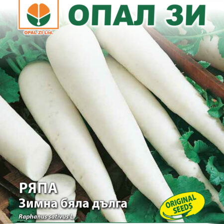 Ряпа