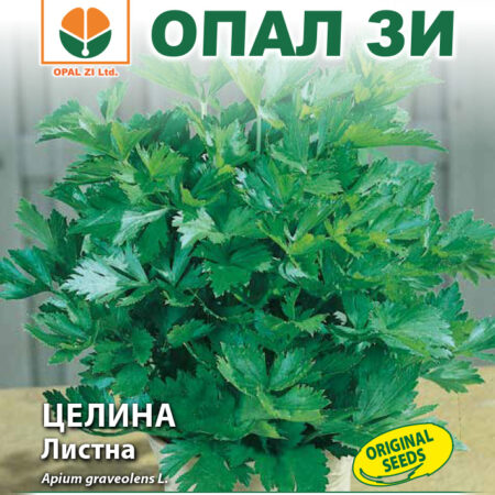 Целина