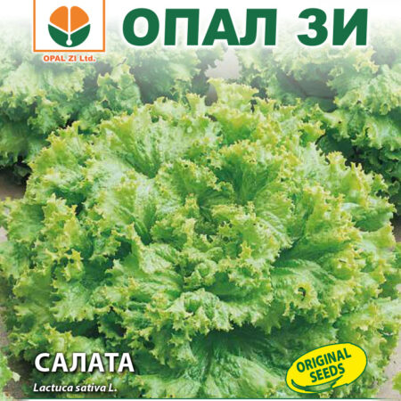 Салата