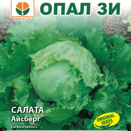 Салата Айсберг