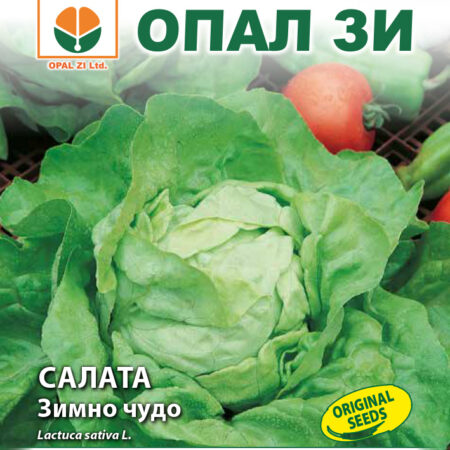 Салата Зимно чудо