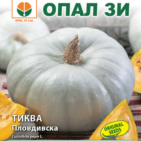 Тиква Пловдивска