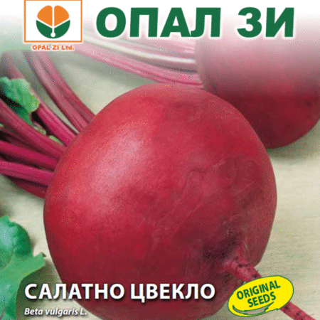 Салатно цвекло