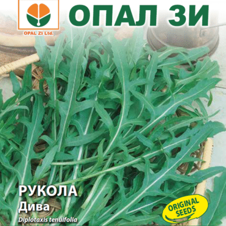 Рукола