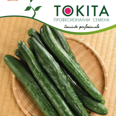 Краставици Тести Кинг F1