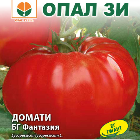 Домати БГ Фантазия