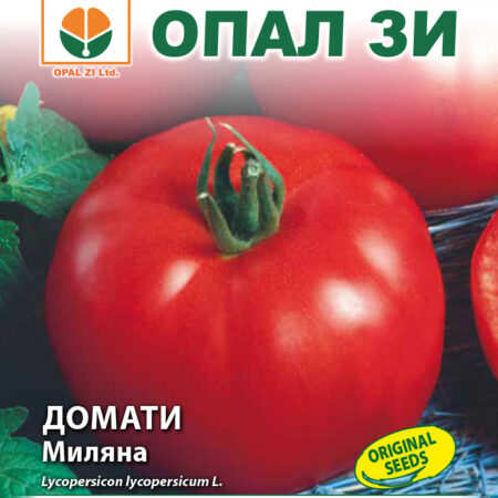 Домати Миляна
