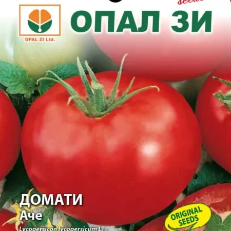 Домати Аче